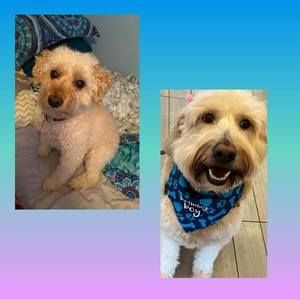 Meet your Posher, Deirdre